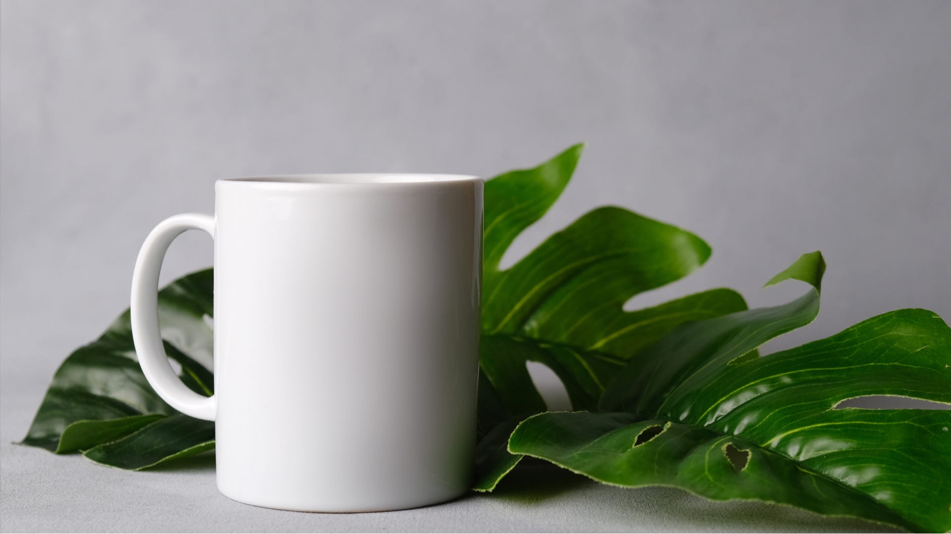 Didn’t Finish Your Coffee? Give It to Your Houseplants – LifeSavvy