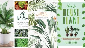 The 10 Best Books to Get Started with Indoor Gardening
