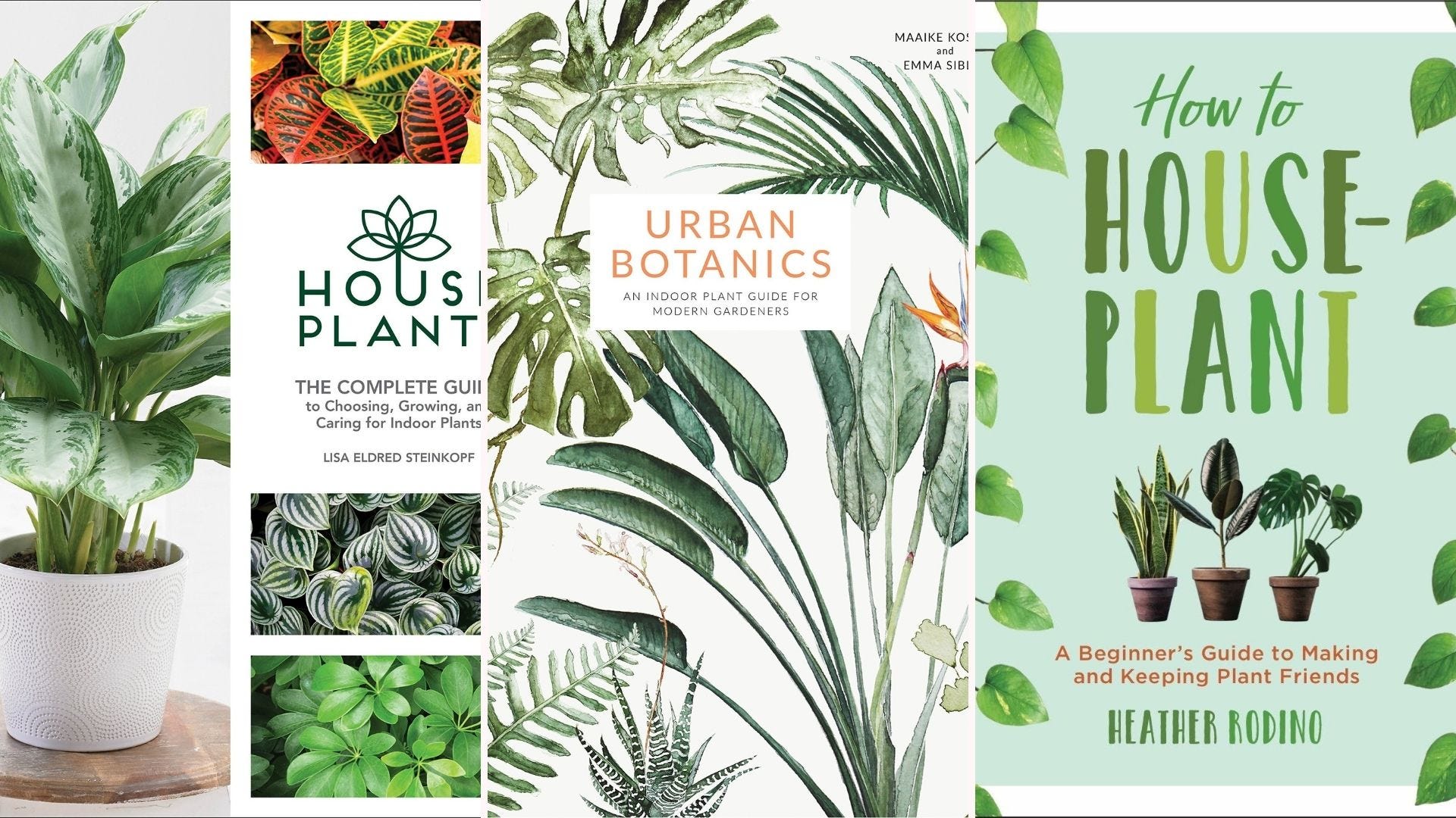 The 10 Best Books to Get Started with Indoor Gardening